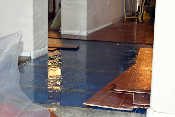 Professional Sewage Cleanup technician working in Chappell Hill, TX